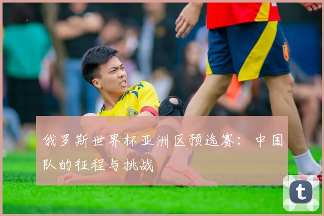 俄罗斯世界杯亚洲区预选赛：中国队的征程与挑战