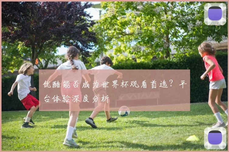 优酷能否成为世界杯观看首选？平台体验深度分析